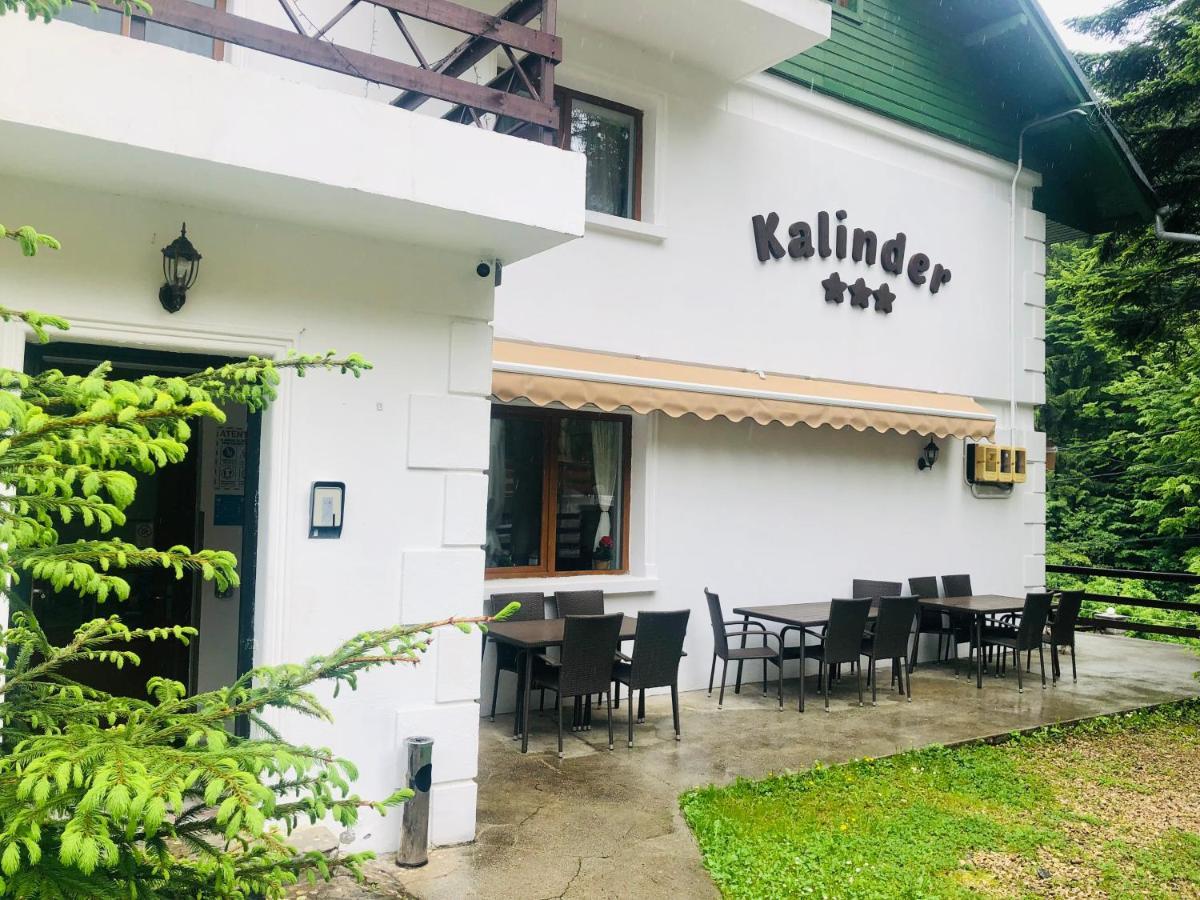 Pensiune & Restaurant Kalinder Busteni Ngoại thất bức ảnh
