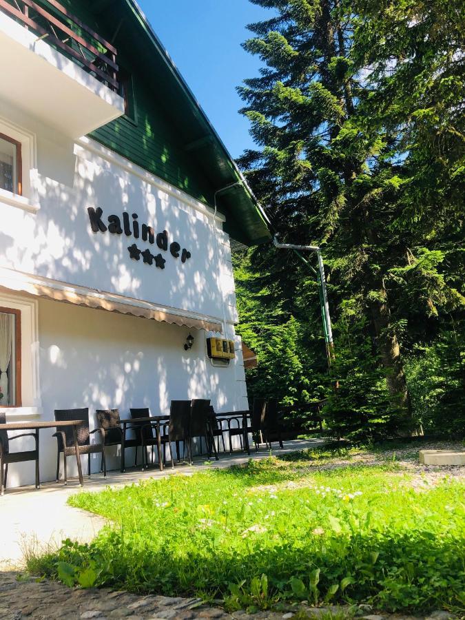 Pensiune & Restaurant Kalinder Busteni Ngoại thất bức ảnh