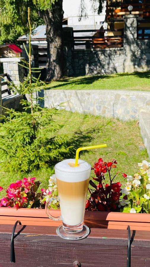 Pensiune & Restaurant Kalinder Busteni Ngoại thất bức ảnh